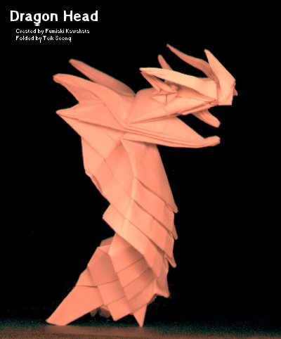 Dragon Head