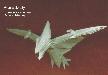 Pteranodon