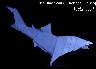 Blue&nbsp;Shark